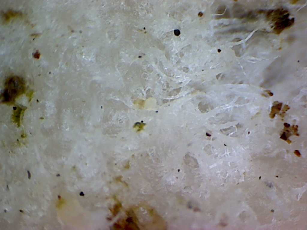 Prima che nevica... Quizzz